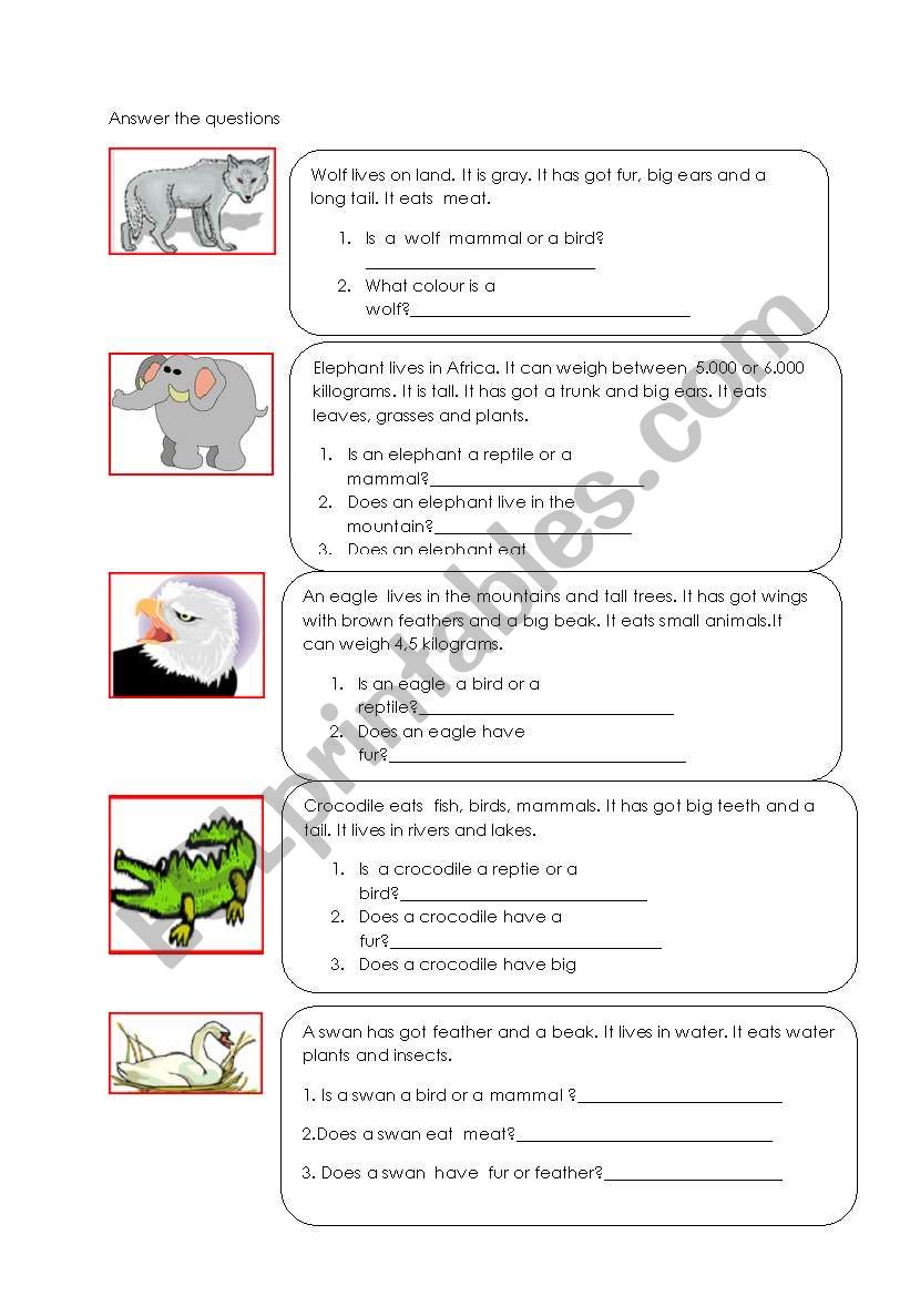 ANIMALS worksheet