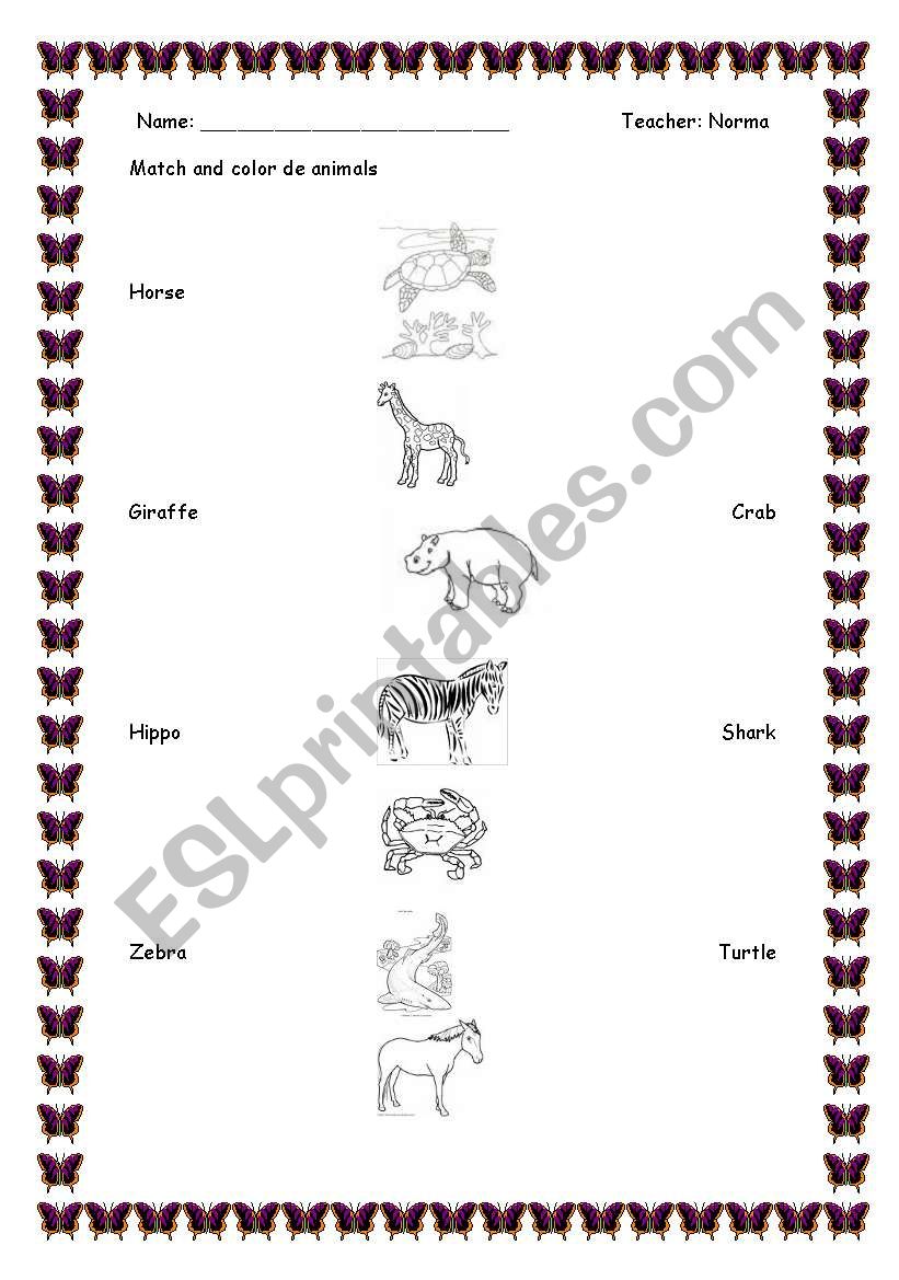 Animals worksheet