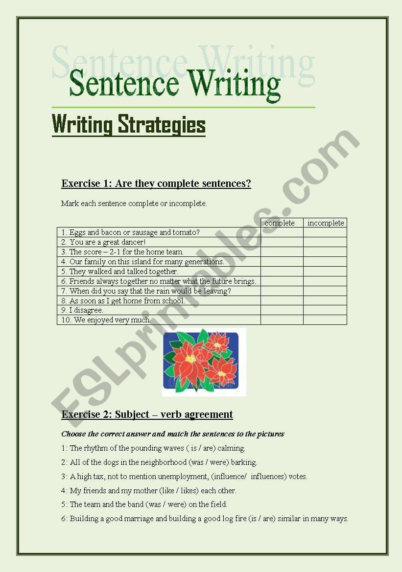 sentence writing (5 pages) worksheet
