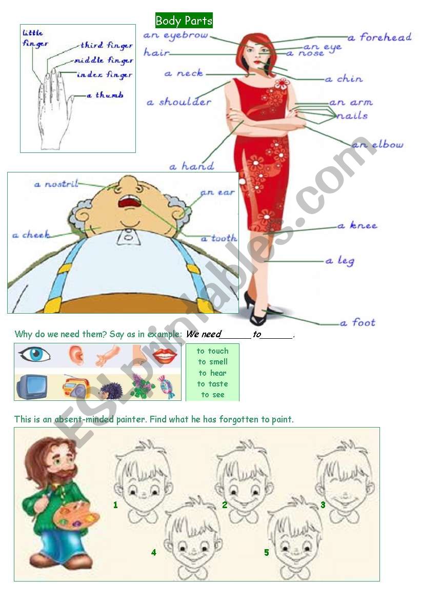 body parts worksheet