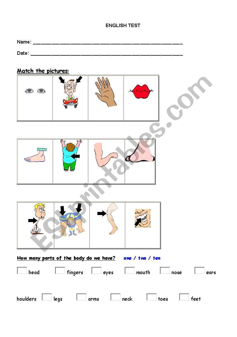 body parts test worksheet