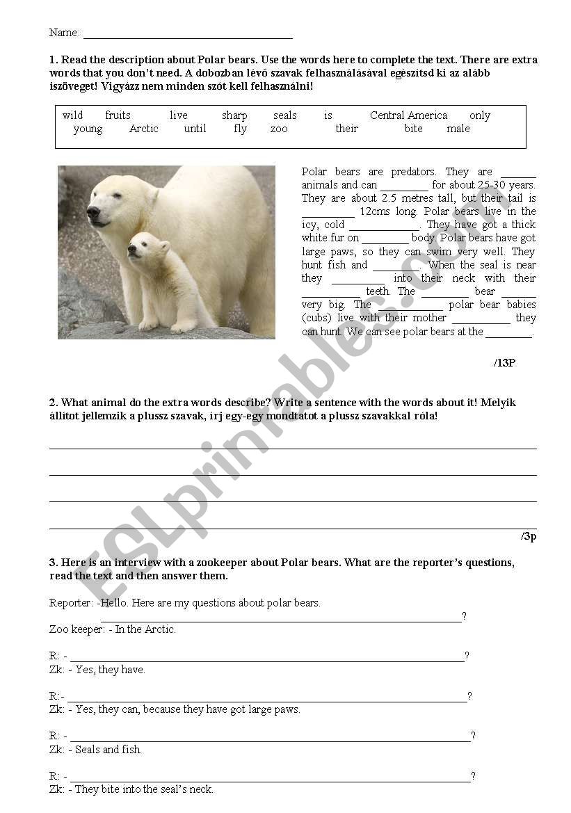 animals and grammar worksheet