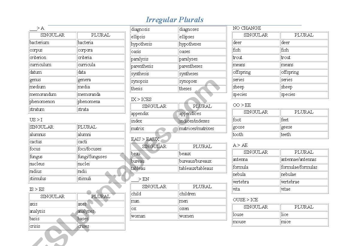 Chart for Irregular Plurals worksheet