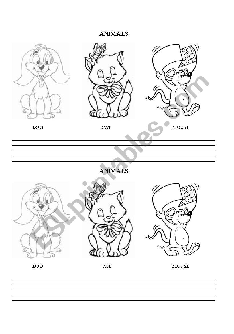 Dog, cat and mouse worksheet