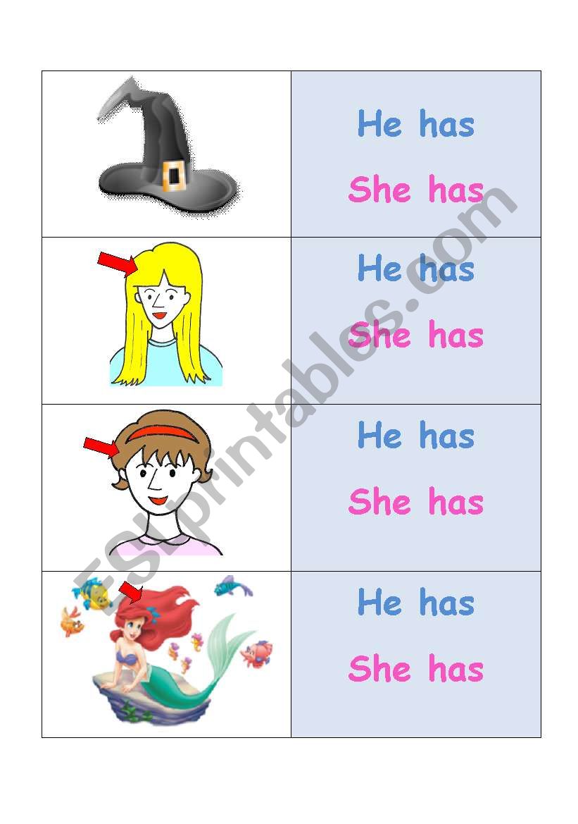 Flashcards/Playing cards (1 of 2) - He/She has (can be used with the famous Guess Who game)