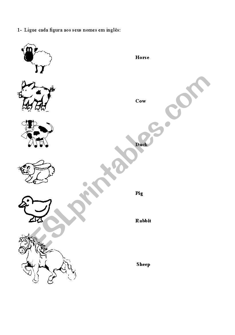 Amimals worksheet