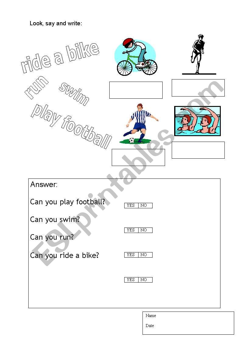 Yes/no questions worksheet