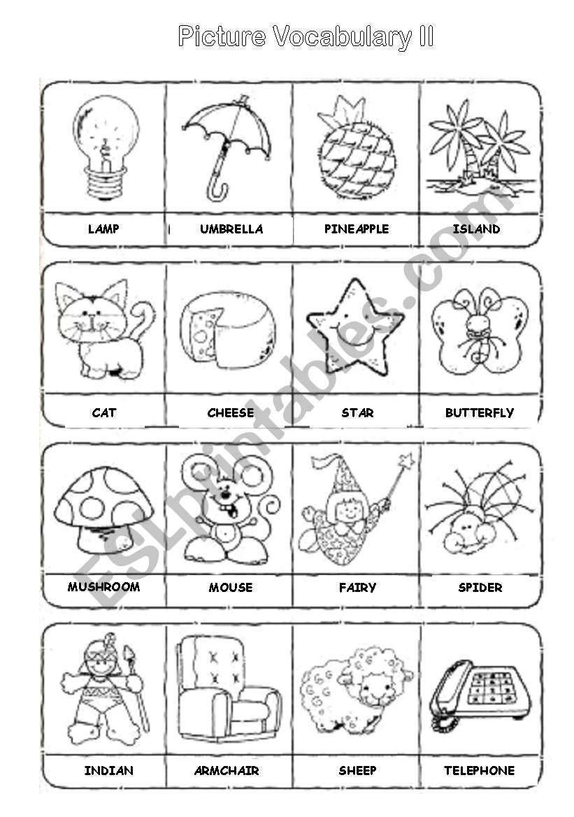 Picture Vocabulary II worksheet