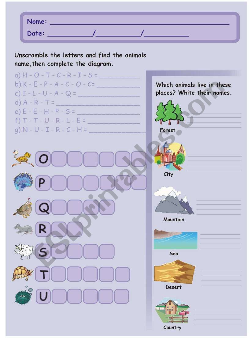 English Alphabet - Part III worksheet