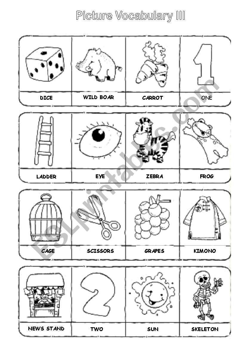 Picture Vocabulary III worksheet