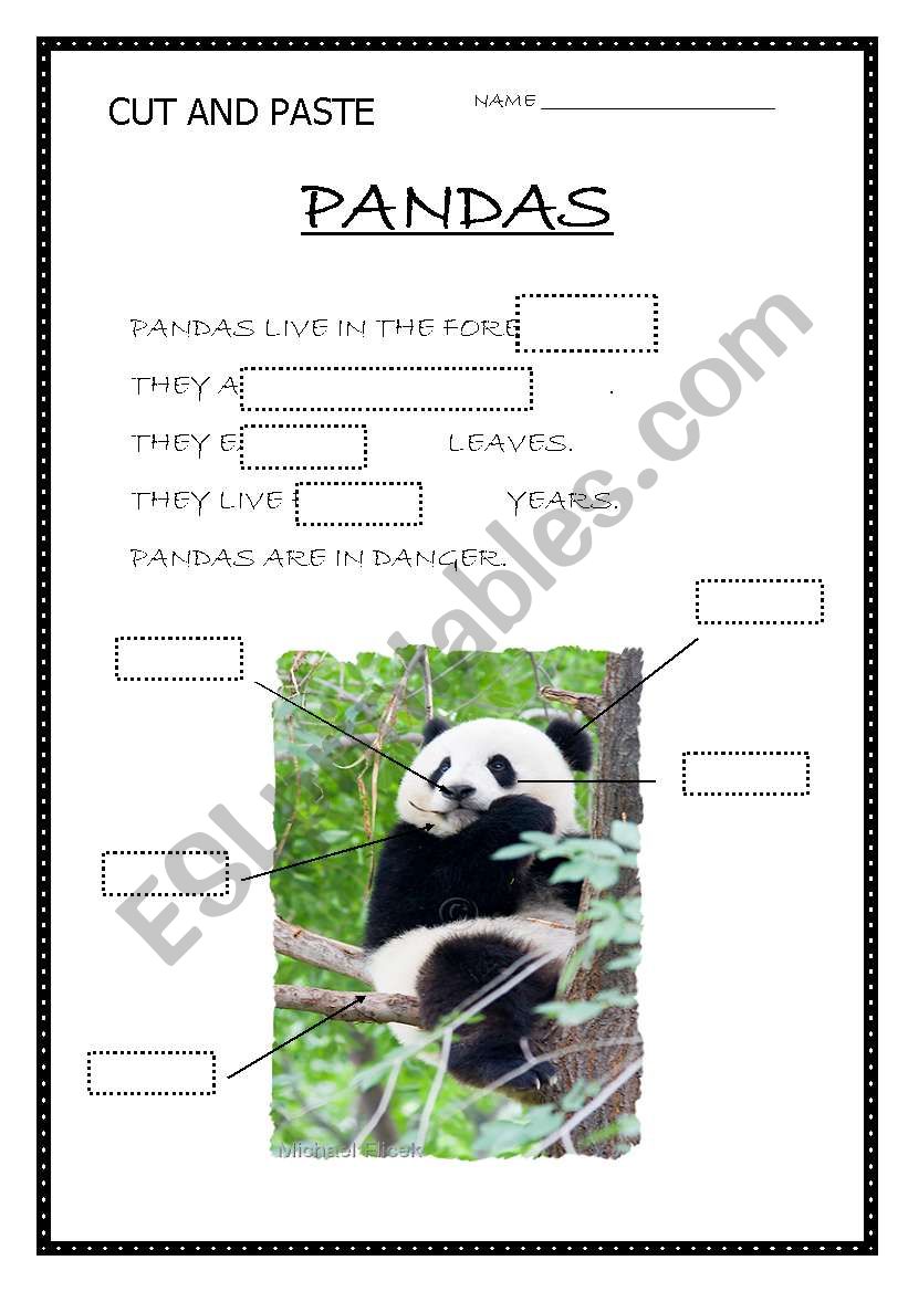 PANDAS  worksheet