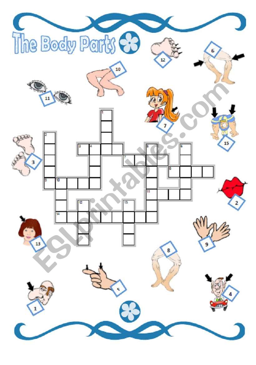 Body crosswords worksheet
