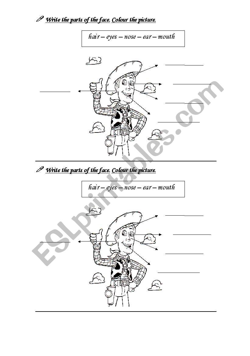 Read and write the parts of the face