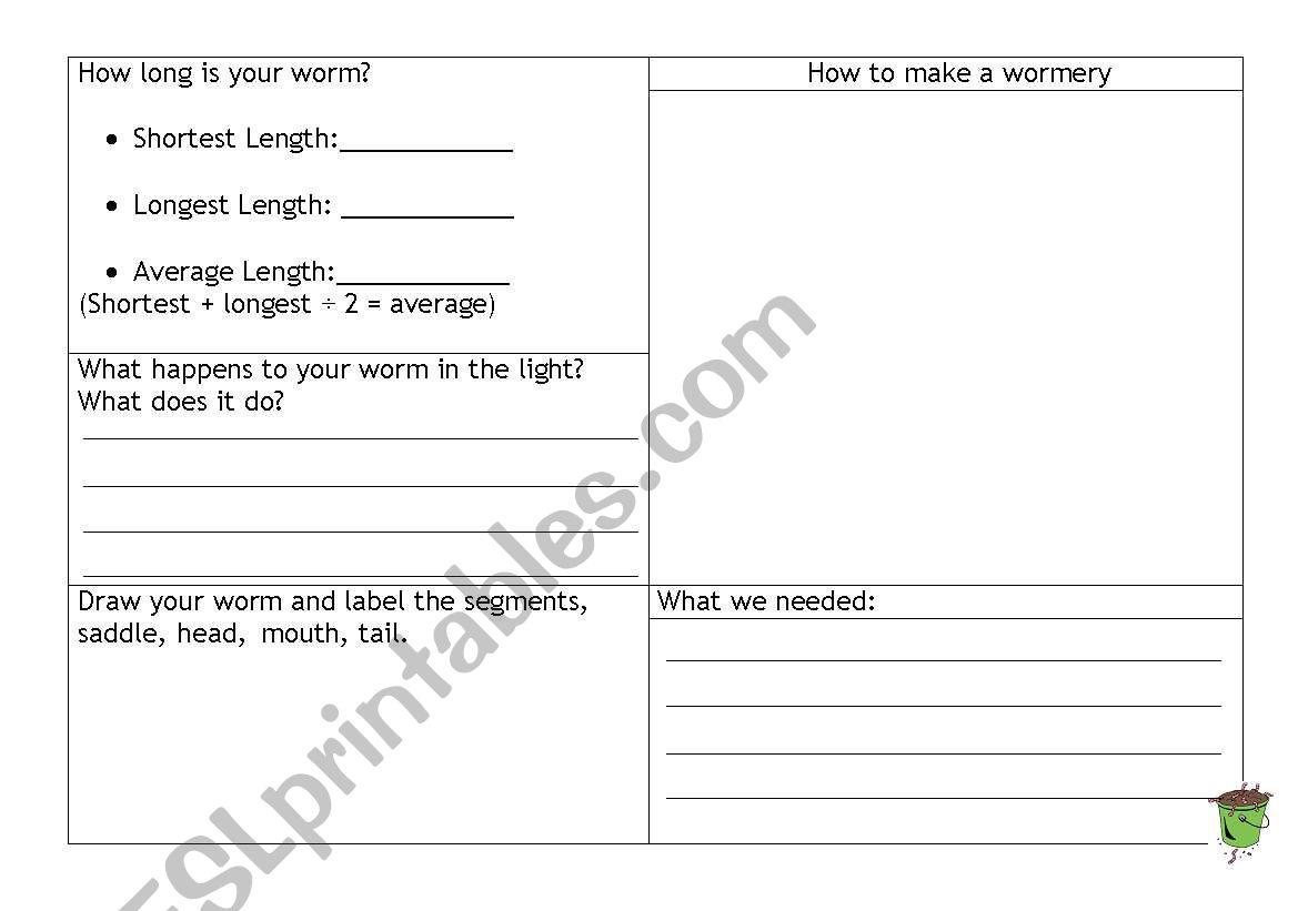 Worm profile Year 4-7 worksheet