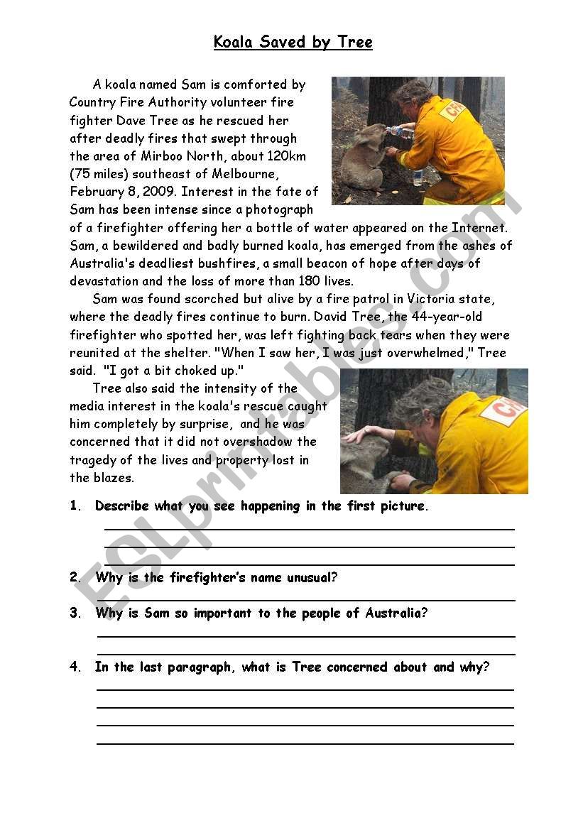 Koala Saved By Tree worksheet