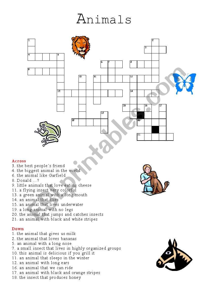 animal crosswords worksheet