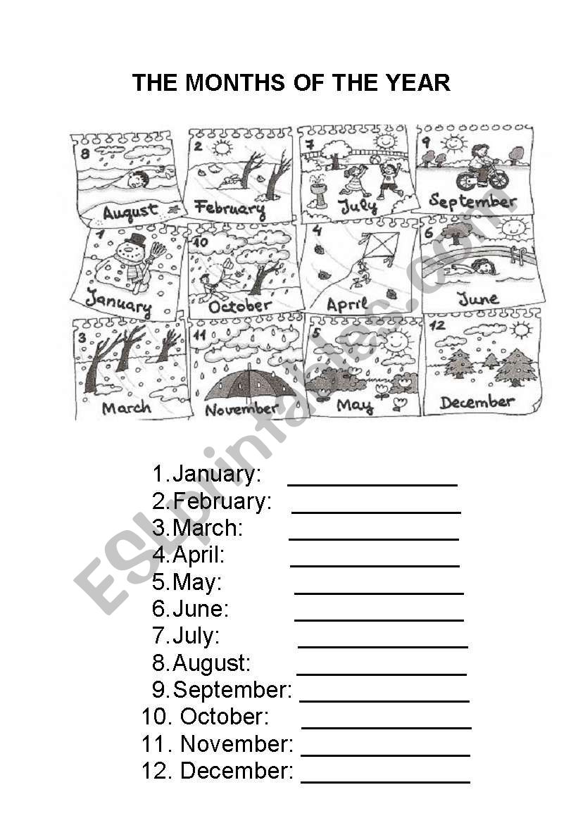 months of the year worksheet