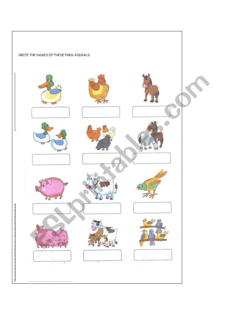 FARM ANIMALS worksheet