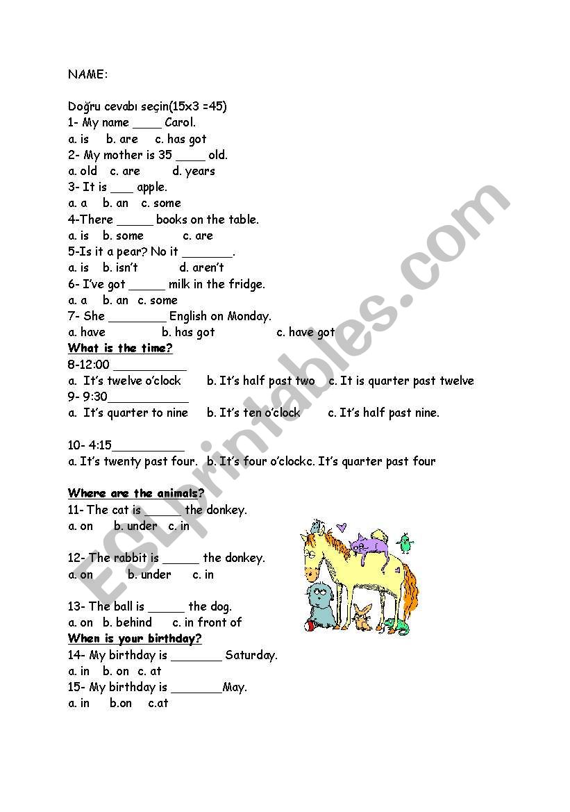 quiz worksheet