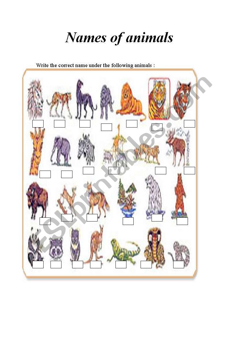 names of animals worksheet