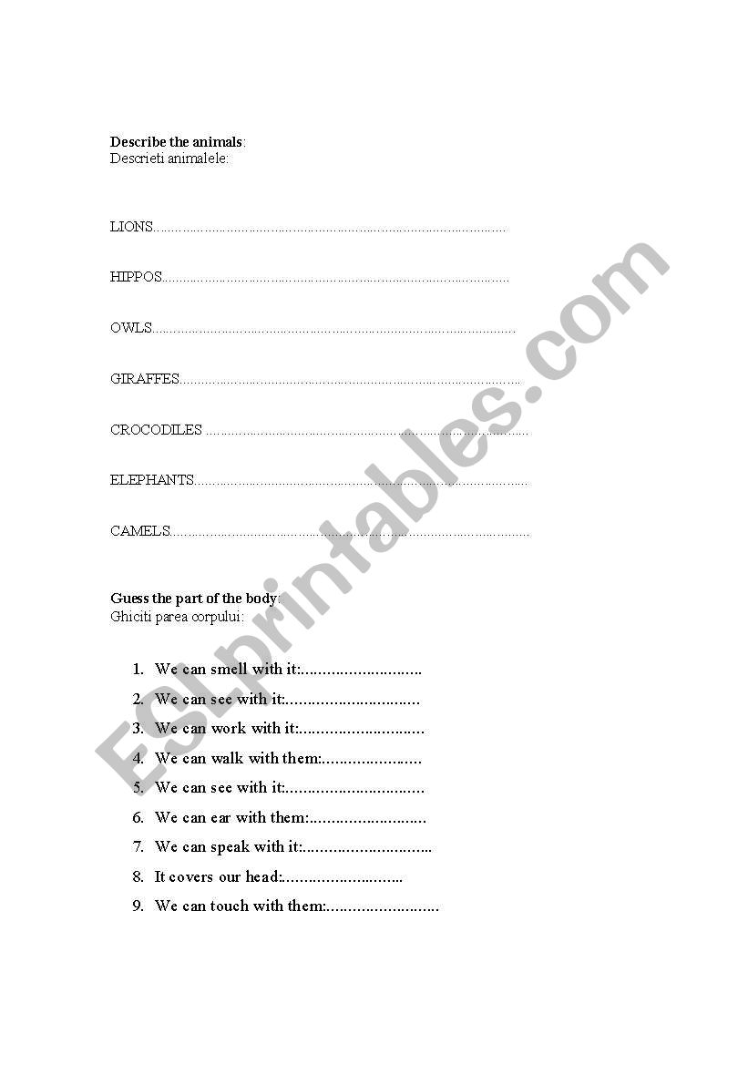 animals worksheet