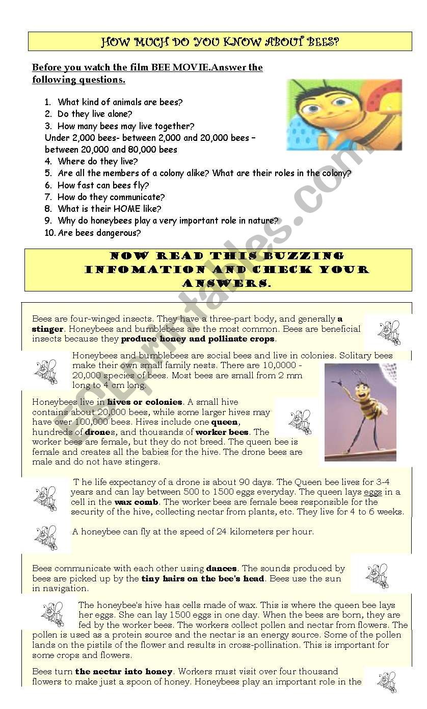 BEE MOVIE GUIDE AND ACTIVITIES