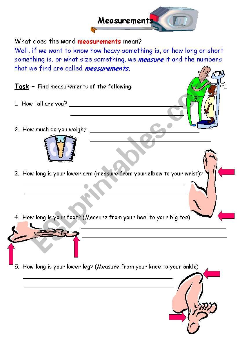 Measurements worksheet