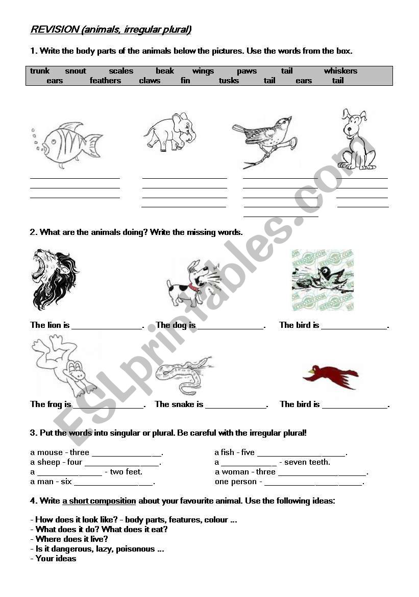 Animals in action worksheet