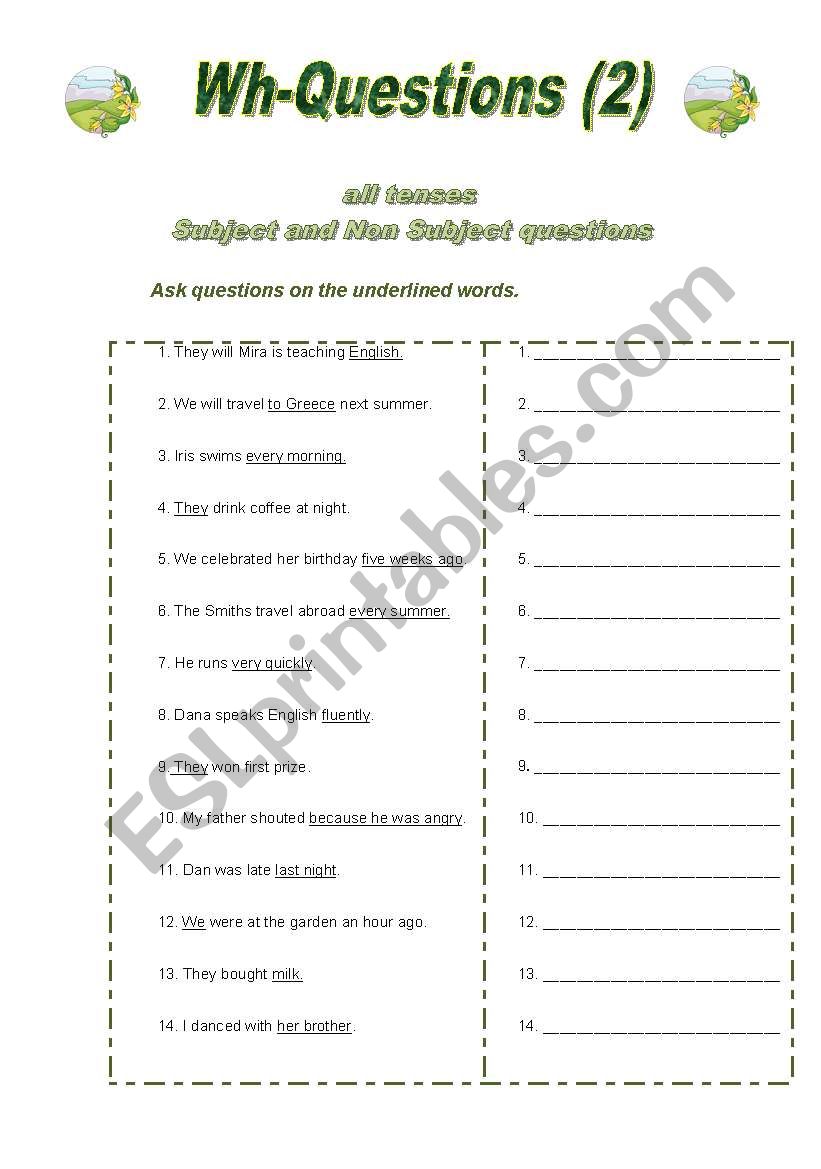 WH- questions (2) worksheet