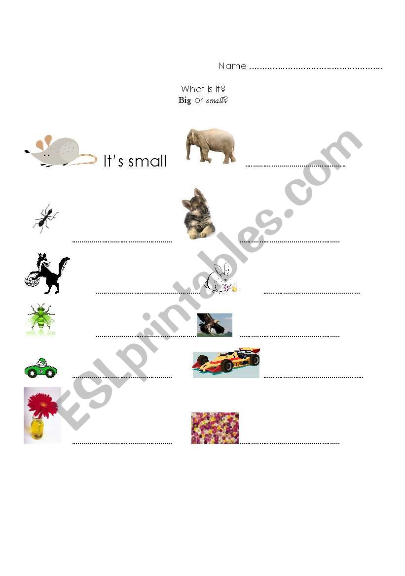 Big or small? worksheet