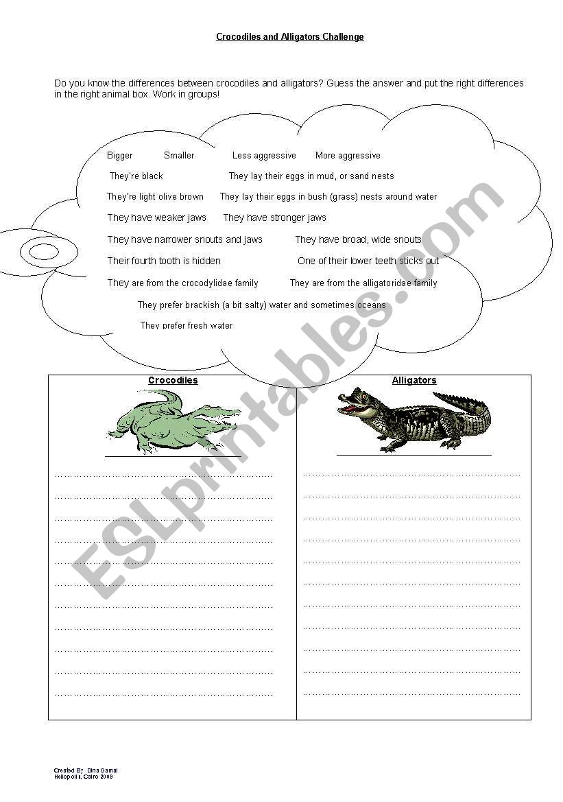 Crocodiles VS Alligators worksheet
