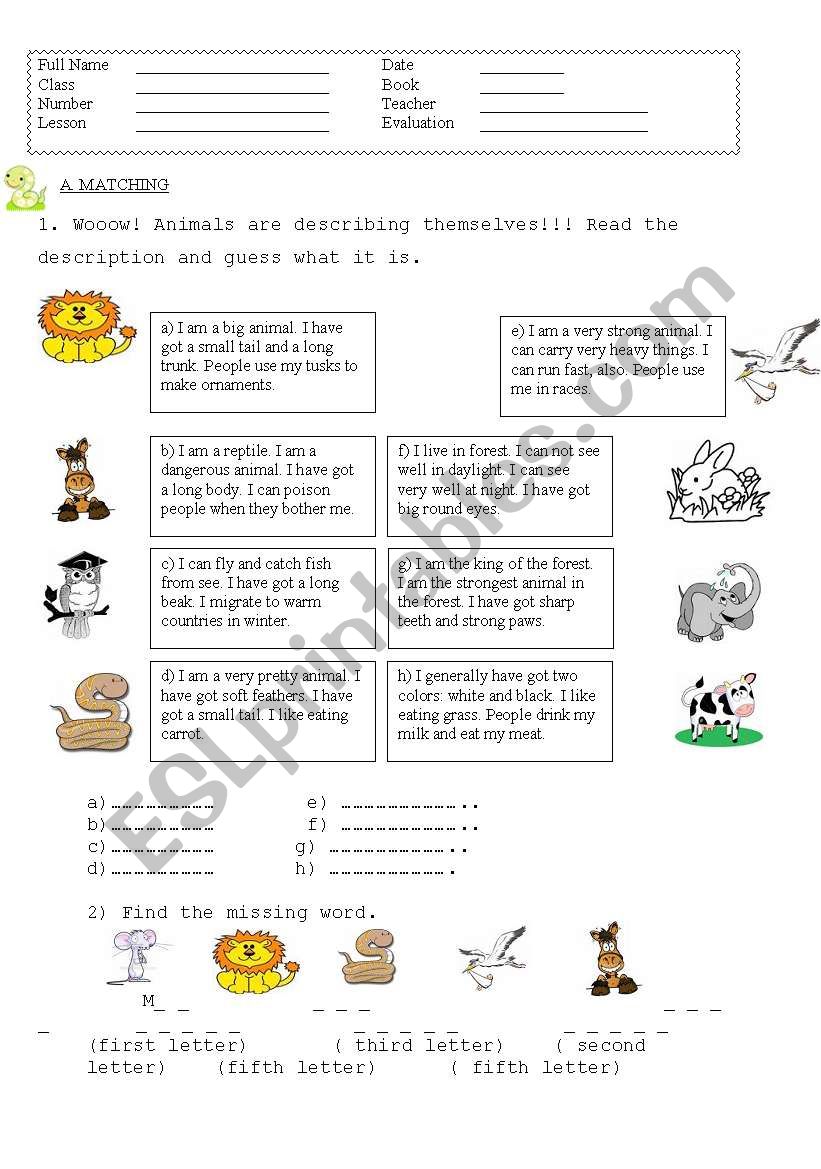 Vocabulary exercises ( animals) 