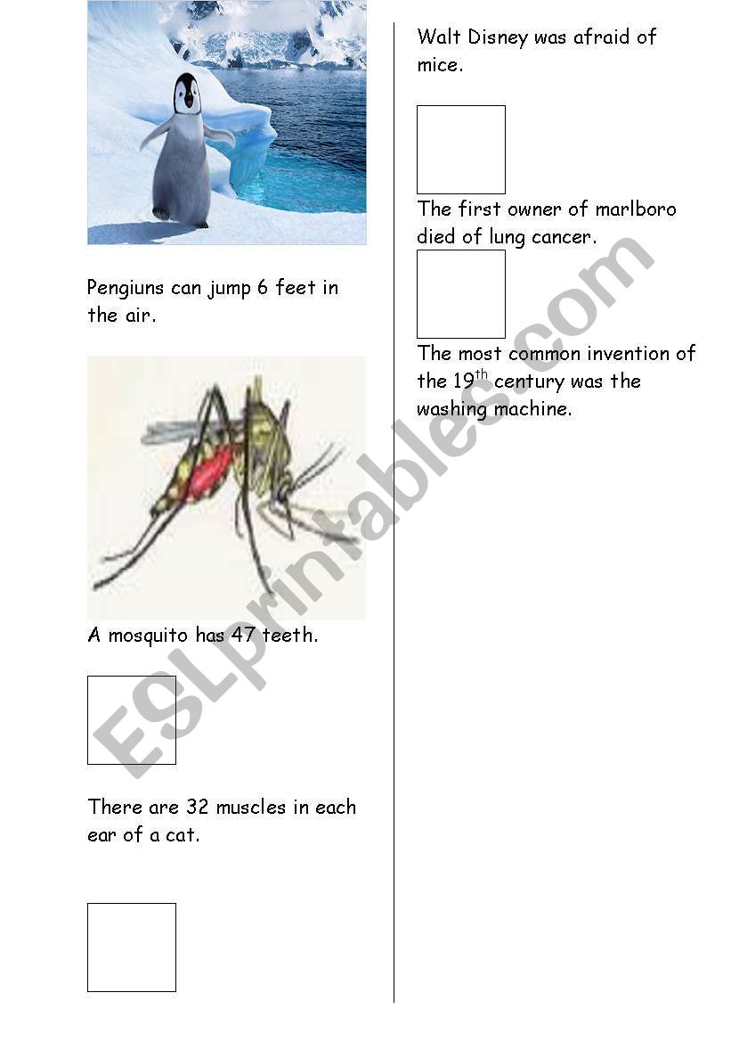 strange facts 1 worksheet