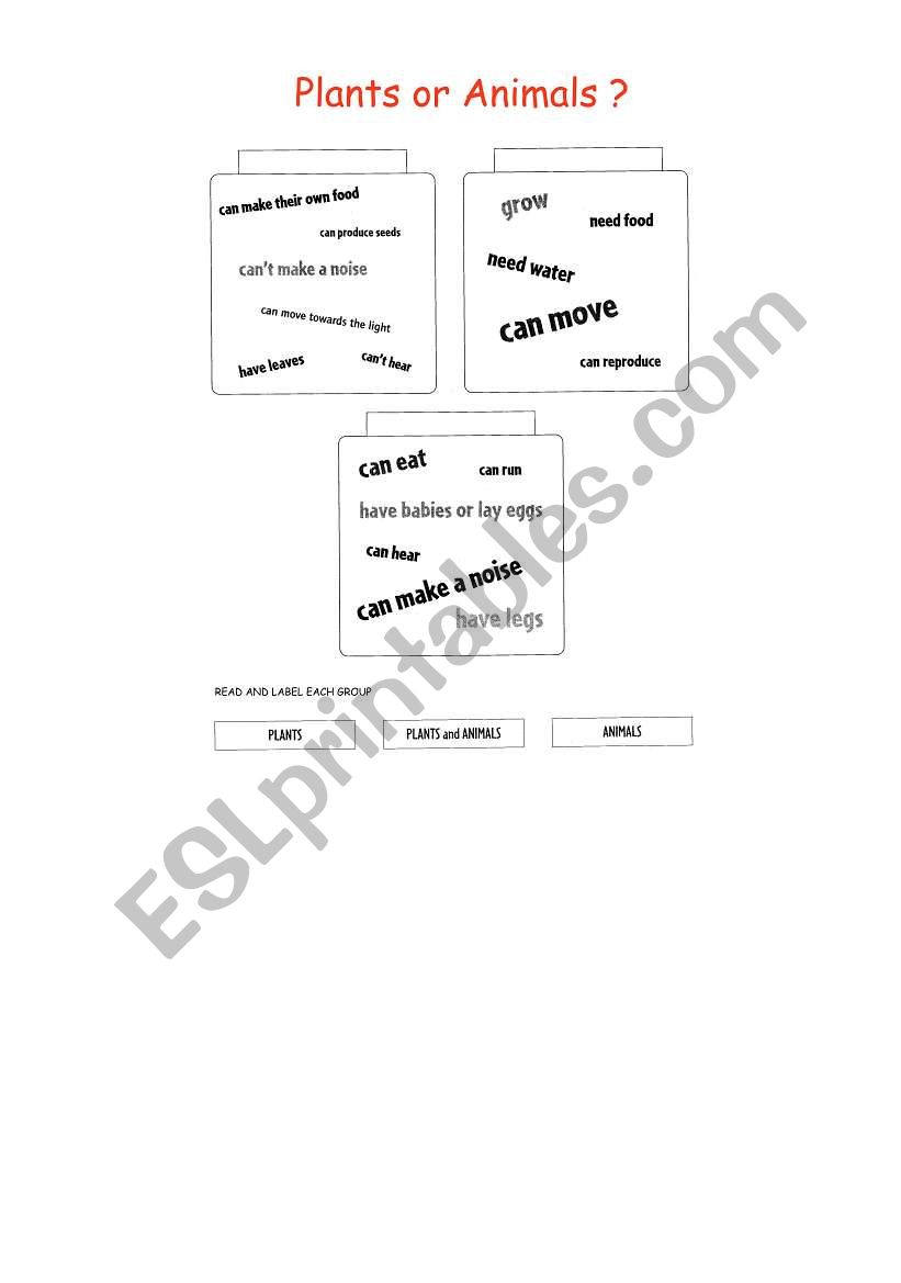 Plants or animals? worksheet