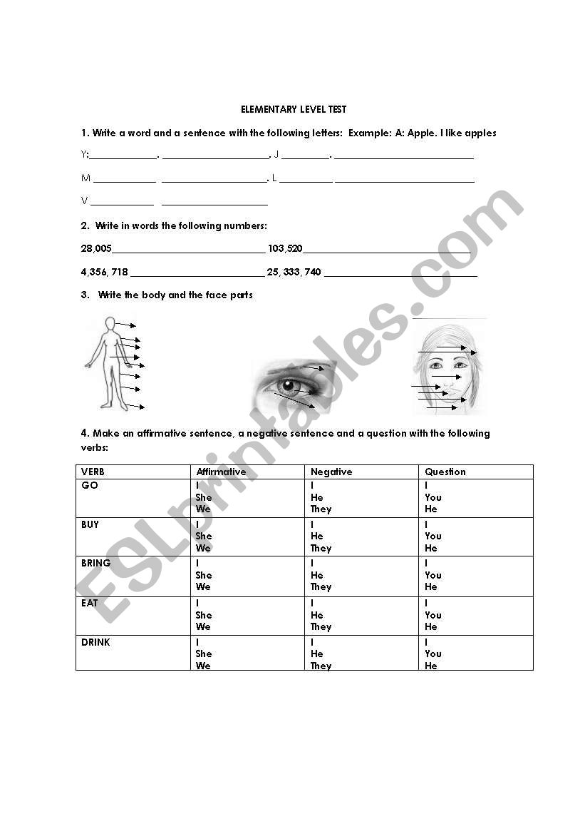 ELEMENTARY LEVEL TEST worksheet