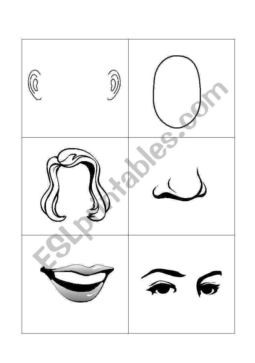 face flashcards worksheet