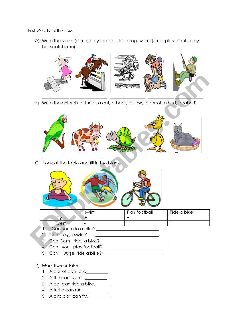 CAN worksheet