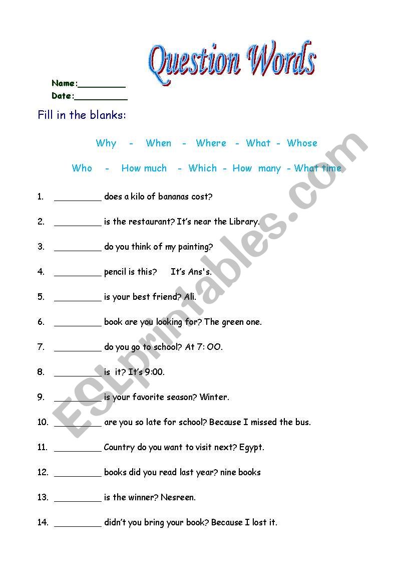 wh questions worksheet