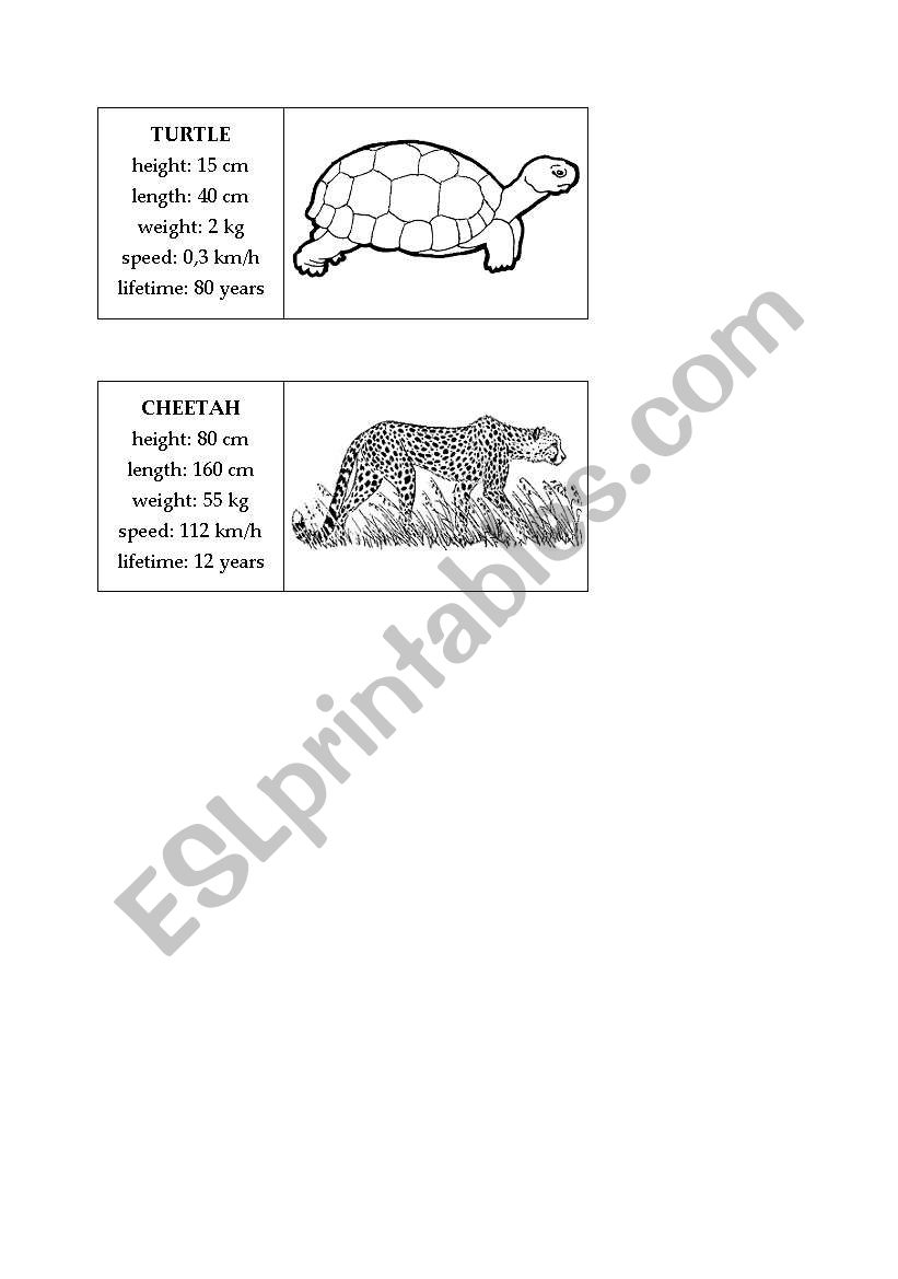 Animals Activity Cards 4 - Comparative