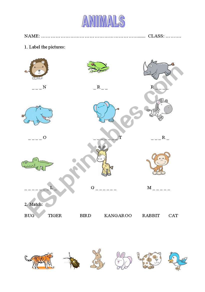 ANIMALS worksheet