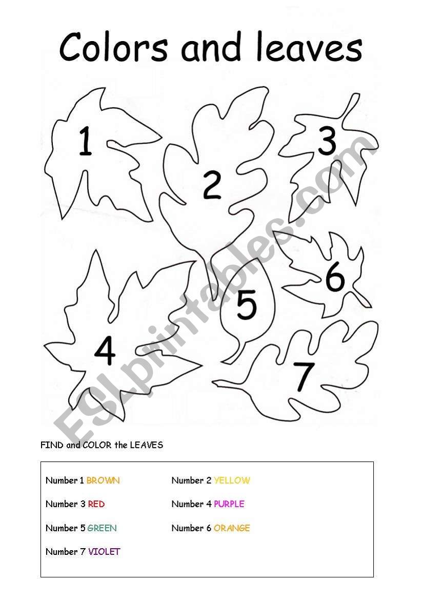FIND and COLOR the LEAVES worksheet