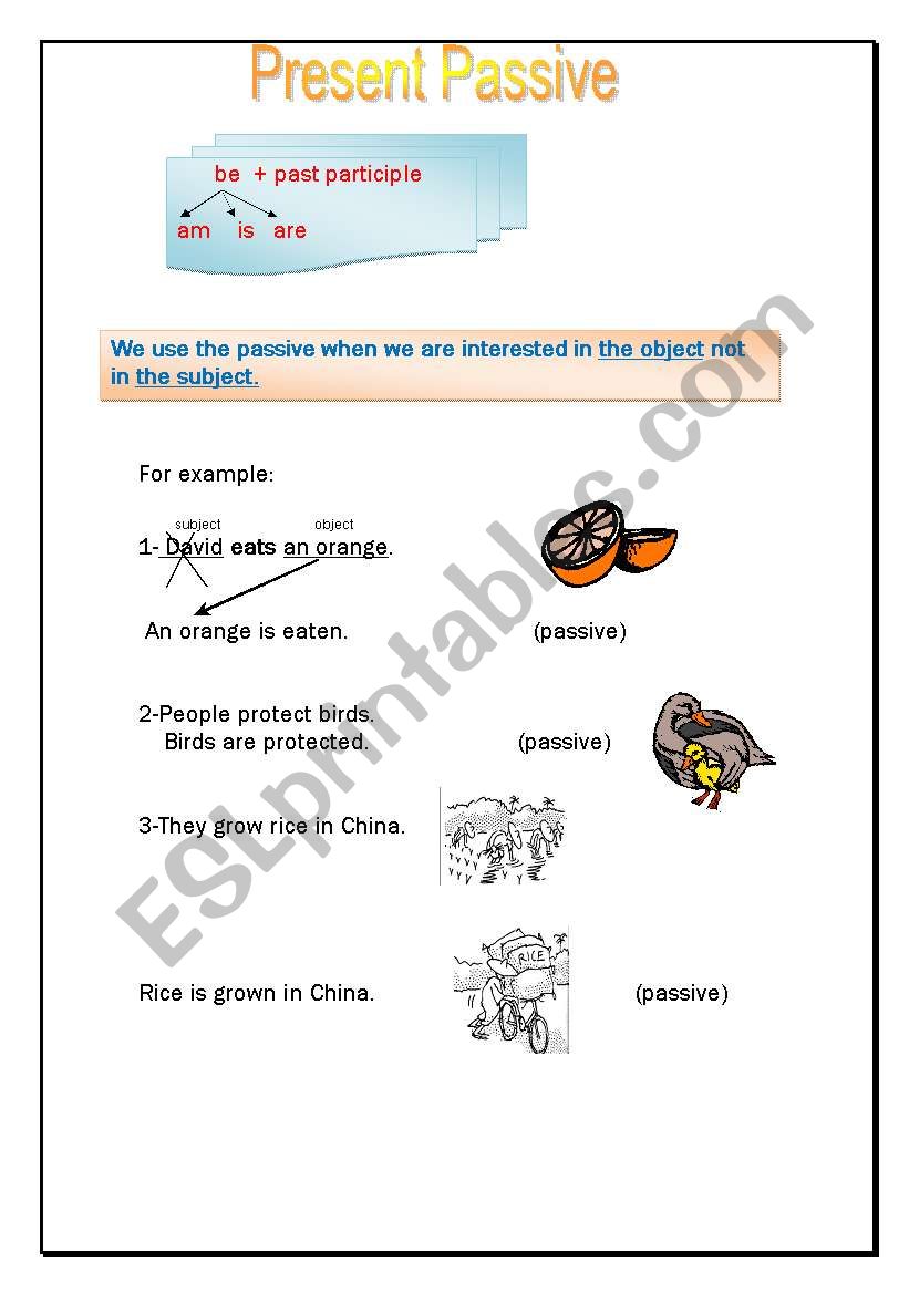 Present Passive worksheet