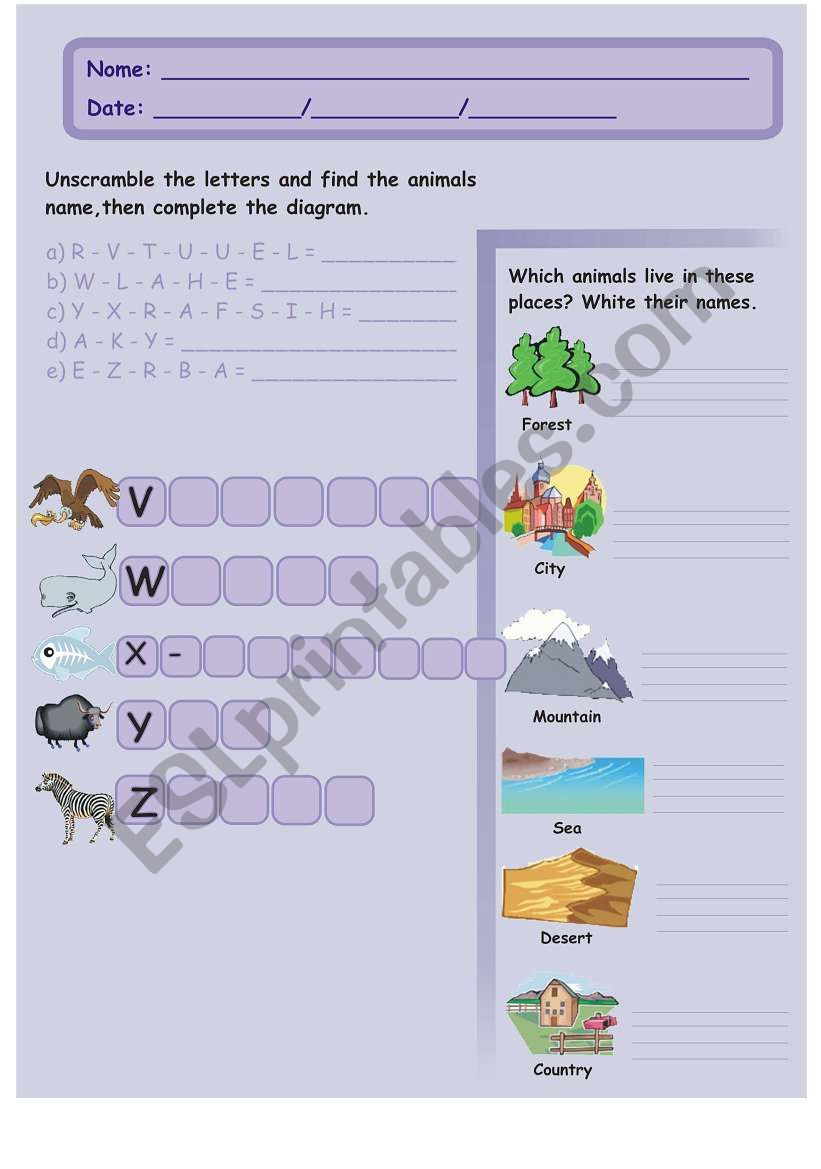 English Alphabet - Part IV worksheet