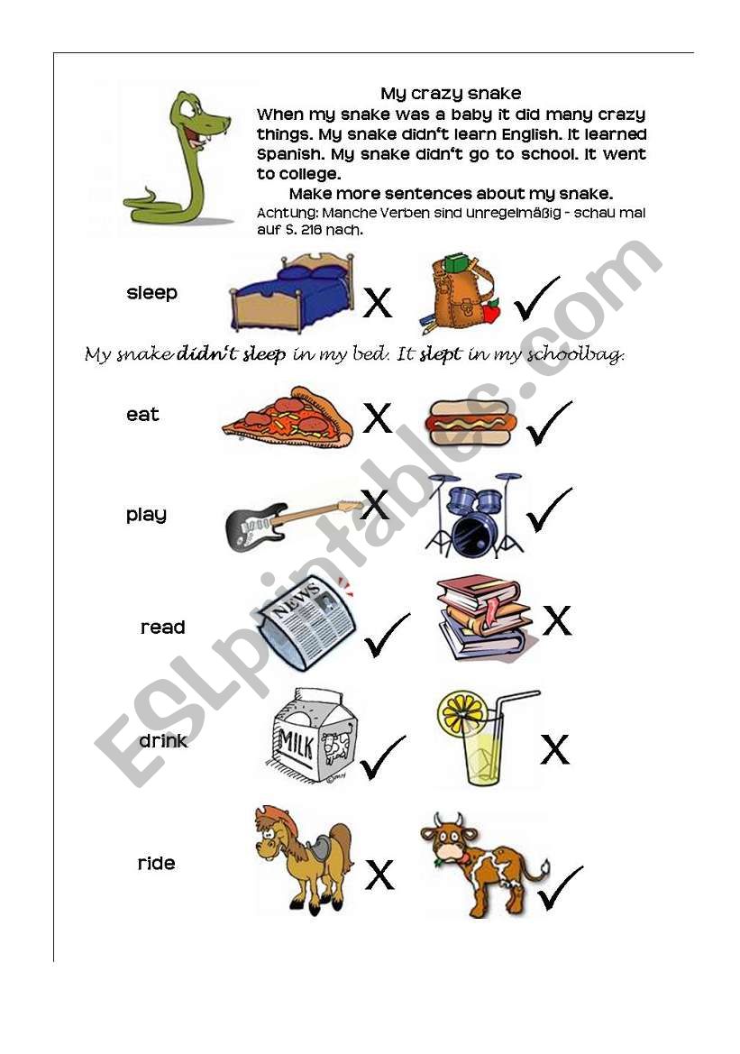 My crazy snake - Past Tense worksheet