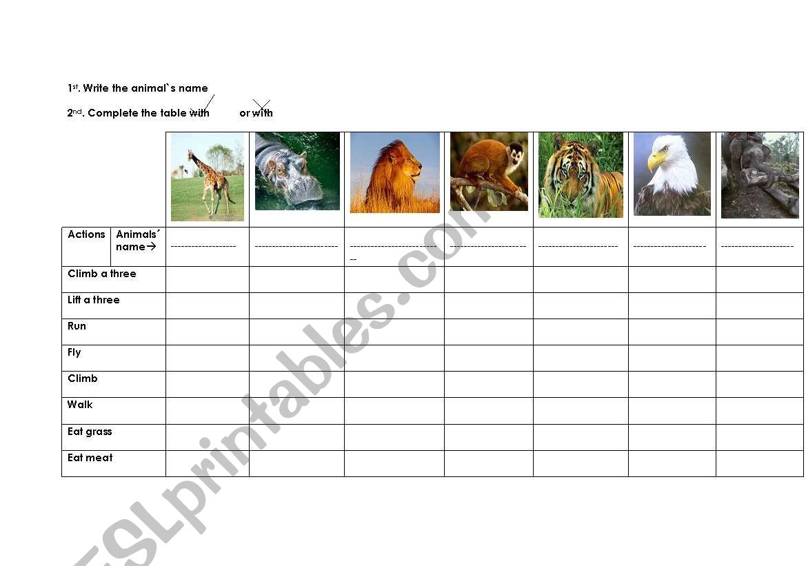 Wild animals actions worksheet