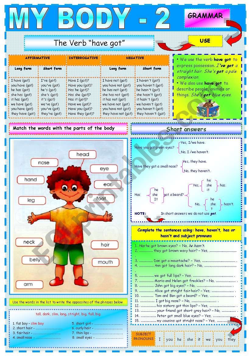 My body-2 worksheet