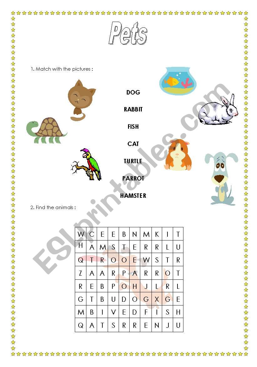 pets worksheet