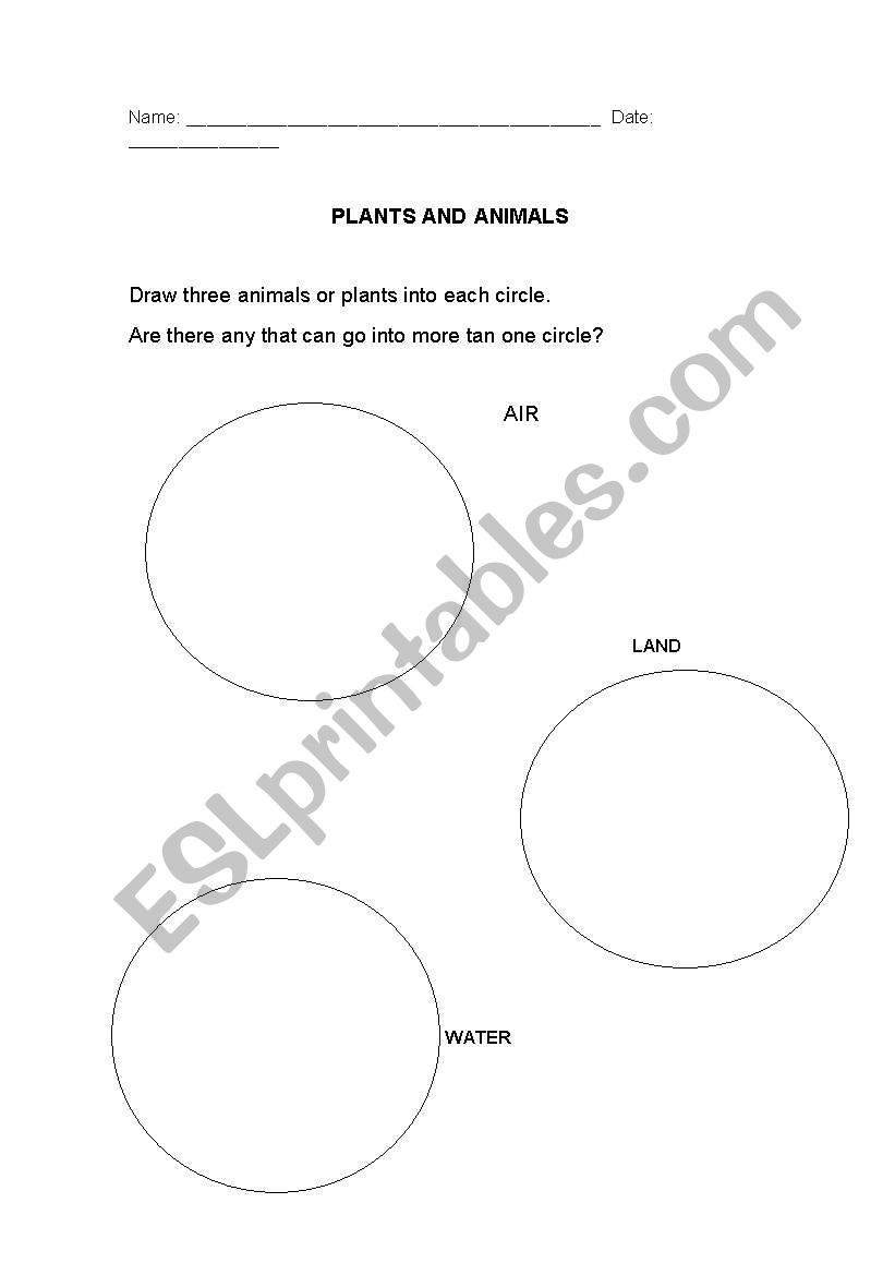 Plants and animals worksheet