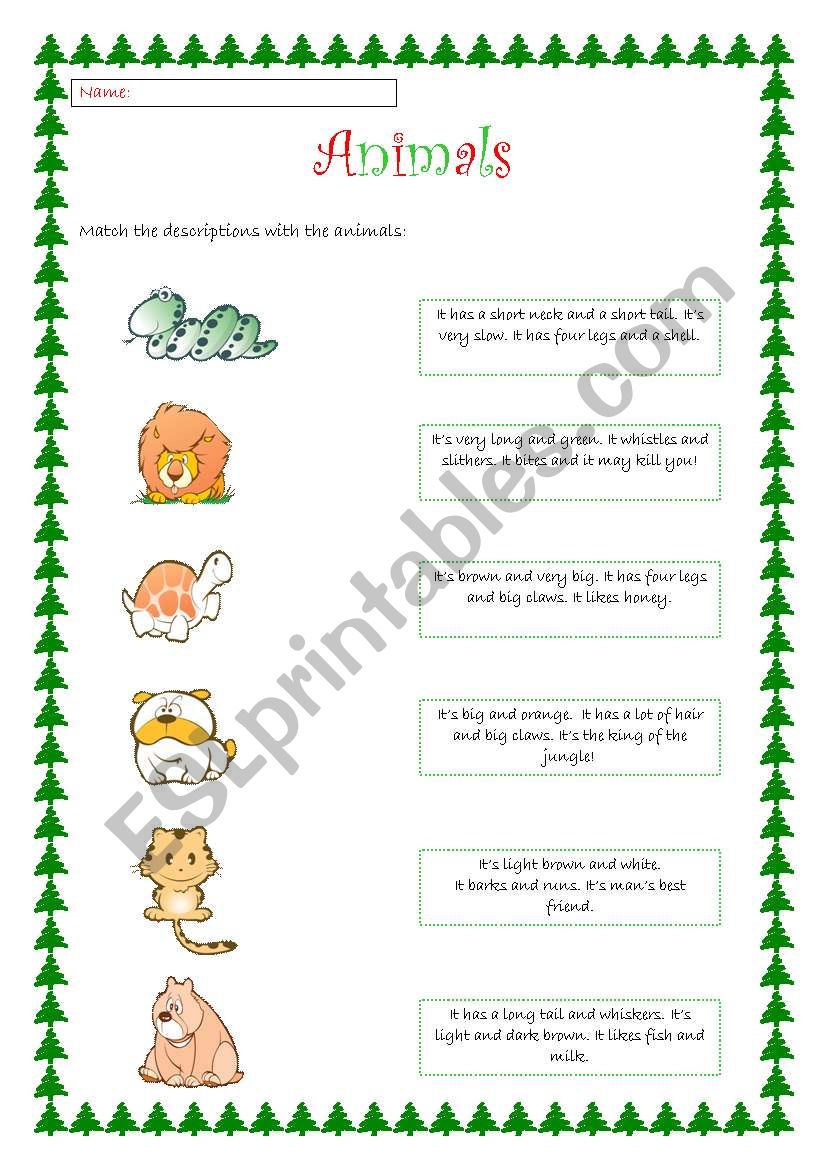 Animals! worksheet