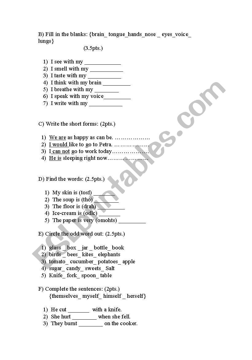 grammar worksheet worksheet